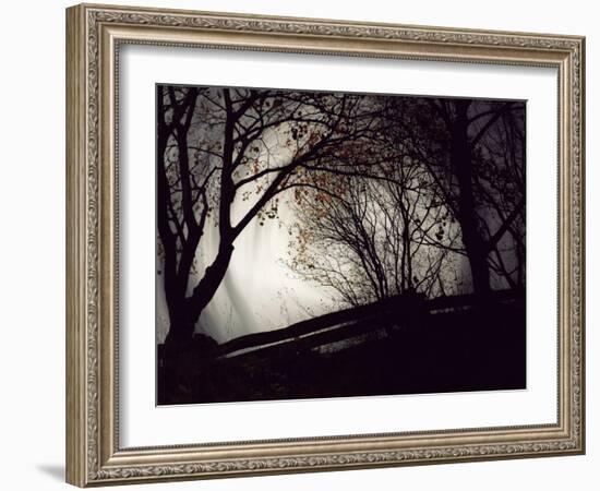 Jaxtag-Sharon Wish-Framed Photographic Print