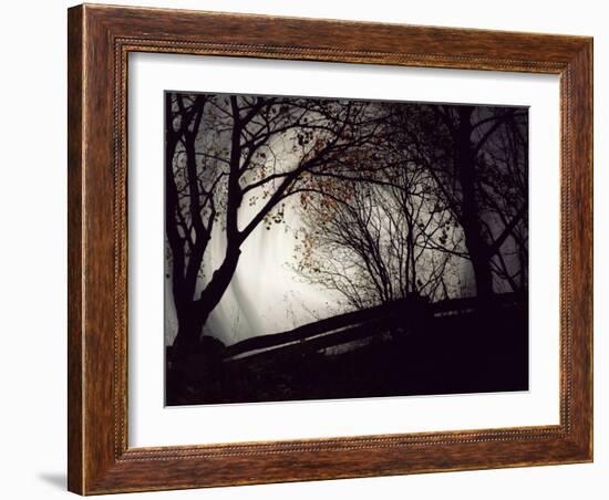 Jaxtag-Sharon Wish-Framed Photographic Print