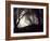 Jaxtag-Sharon Wish-Framed Photographic Print