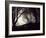 Jaxtag-Sharon Wish-Framed Photographic Print