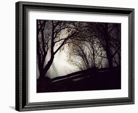 Jaxtag-Sharon Wish-Framed Photographic Print