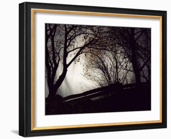 Jaxtag-Sharon Wish-Framed Photographic Print