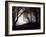 Jaxtag-Sharon Wish-Framed Photographic Print