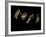 Jaxware-Fabio Panichi-Framed Photographic Print