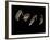 Jaxware-Fabio Panichi-Framed Photographic Print