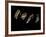 Jaxware-Fabio Panichi-Framed Photographic Print