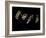 Jaxware-Fabio Panichi-Framed Photographic Print