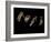 Jaxware-Fabio Panichi-Framed Photographic Print