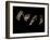 Jaxware-Fabio Panichi-Framed Photographic Print