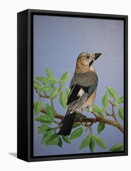 Jay, 2016-Pat Scott-Framed Premier Image Canvas