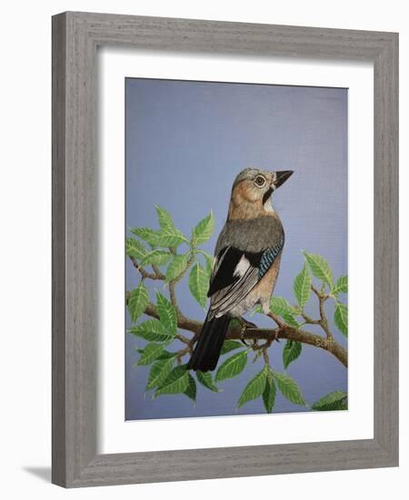 Jay, 2016-Pat Scott-Framed Giclee Print