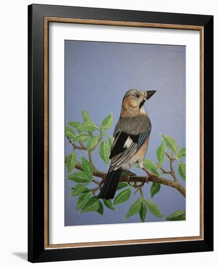 Jay, 2016-Pat Scott-Framed Giclee Print