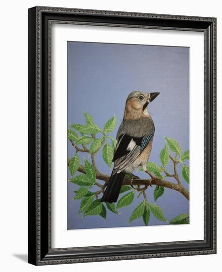 Jay, 2016-Pat Scott-Framed Giclee Print