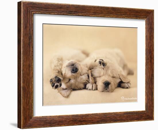 Jay and Connie-Rachael Hale-Framed Photo