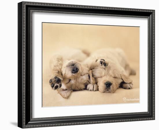 Jay and Connie-Rachael Hale-Framed Photo