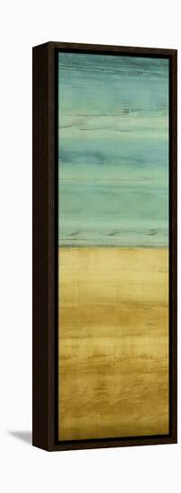 Jay Blue II-Randy Hibberd-Framed Stretched Canvas