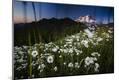 Photographic Print