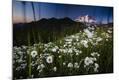 Photographic Print