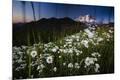 Photographic Print