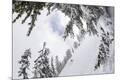 Photographic Print