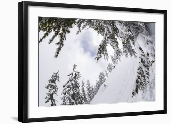 Photographic Print, , large