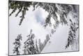 Photographic Print