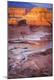 Photographic Print