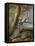 Jay, Green Woodpecker, Pigeons and Redstart, C.1650-Francis Barlow-Framed Premier Image Canvas