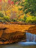 Creek Flows Through Forest, Shenandoah National Park, Virginia, USA-Jay O'brien-Photographic Print