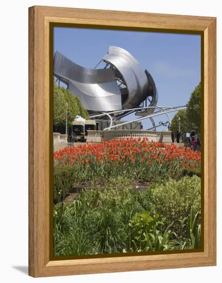 Jay Pritzker Pavillion Designed by Frank Gehry, Millennium Park, Chicago, Illinois, USA-Amanda Hall-Framed Premier Image Canvas