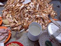 Grenadier Anchovies for Sale in Market, Malaysia-Jay Sturdevant-Photographic Print
