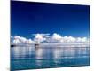 Premium Photographic Print
