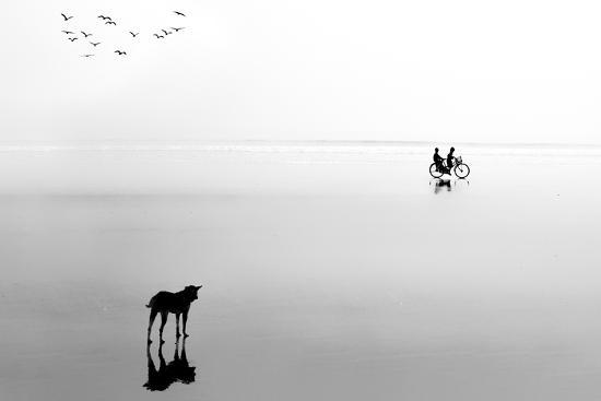 Photographic Print, , large