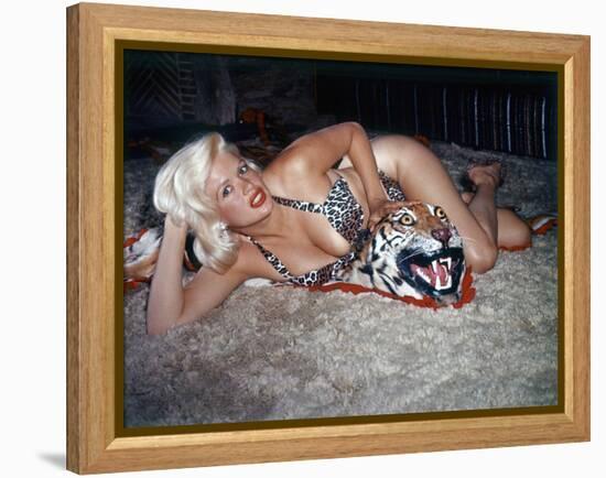 Jayne Mansfield Wearing a Leopard Print Bikini on a Tiger Skin Rug Undated United States-null-Framed Stretched Canvas