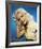 Jayne Mansfield-null-Framed Photo