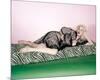 Premium Photographic Print