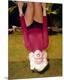 Premium Photographic Print