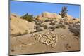 Premium Photographic Print