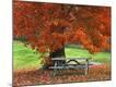 Photographic Print