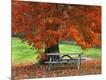 Photographic Print