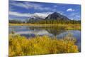 Photographic Print