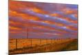 Premium Photographic Print