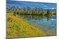 Photographic Print