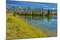 Photographic Print