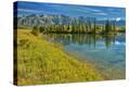 Stretched Canvas Print