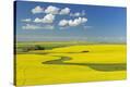 Stretched Canvas Print