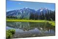 Photographic Print