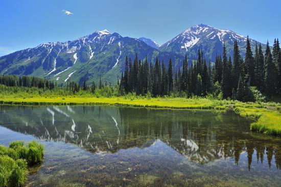 Photographic Print, , large