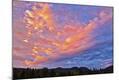 Premium Photographic Print