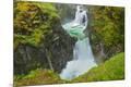 Photographic Print